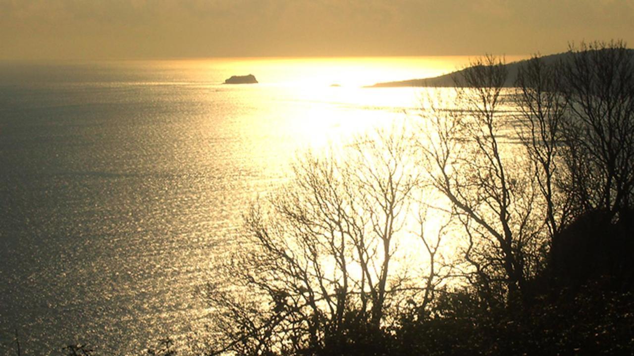Beautiful Seaside One Bedroom Apartment Shaldon